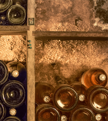 En la bodega de Louis Roederer